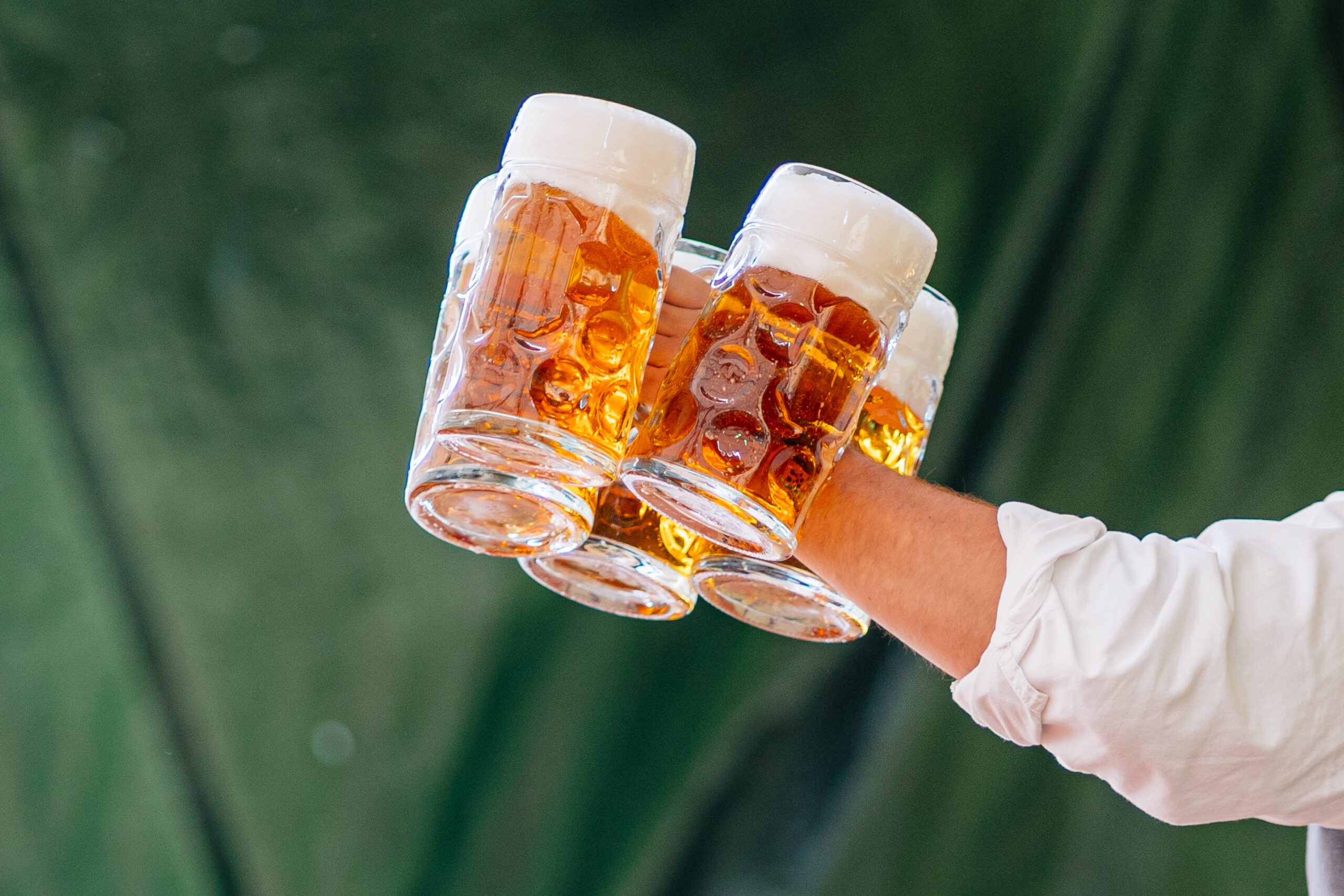 Wittmann-Tag-der-offenen-Brauerei-2025-221